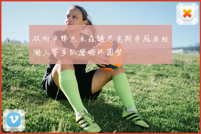 双向中锋杰米森随尼克斯夺冠历经湖人等多队磨砺终圆梦