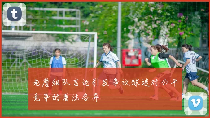 老詹组队言论引发争议球迷对公平竞争的看法各异