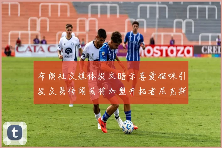 布朗社交媒体发文暗示喜爱猫咪引发交易传闻或将加盟开拓者尼克斯雷霆湖人